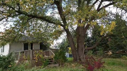 Dance like no one is watching - VID_20231009_132859 - Trim - frame at 0m4s.jpg