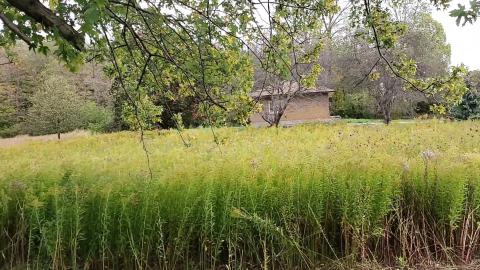 Dance like no one is watching - VID_20231009_133009 - frame at 5m49s.jpg