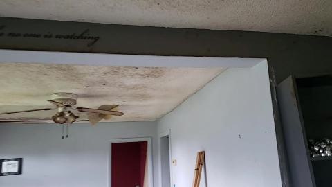 Dance like no one is watching - VID_20231009_133009 - frame at 4m19s.jpg