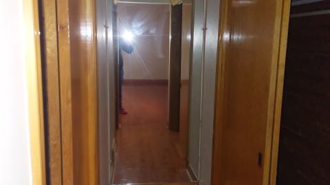 5 minute explore - 20231025_123004.jpg