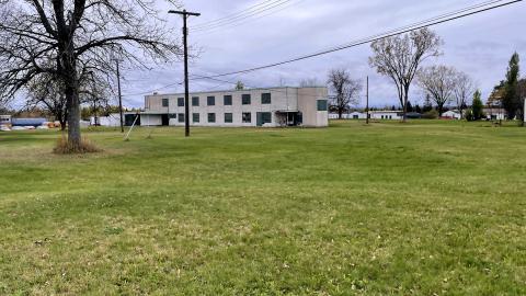 Photo from Fall leaves and early warning systems