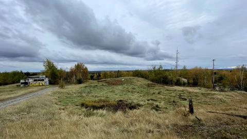Photo from Fall leaves and early warning systems