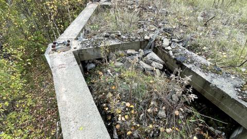 Photo from Fall leaves and early warning systems