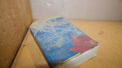 feeling holy - IMG_3006.jpg