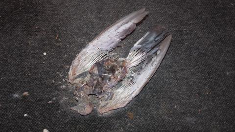 feeling holy - IMG_3035.jpg