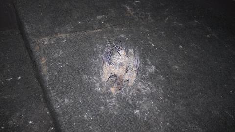 feeling holy - IMG_3031.jpg