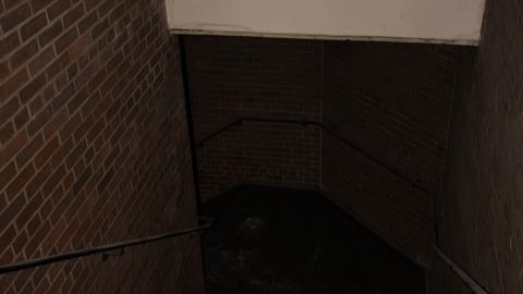 feeling holy - IMG_3040.jpg