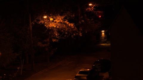 trick no treat - IMG_3145.jpg