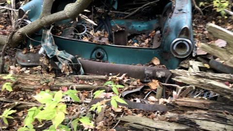 Another shot of the trunk