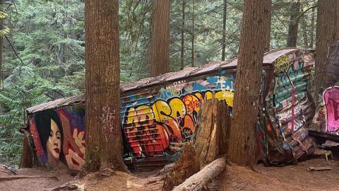 Curse the Camping Stove - 362006123_991418945616066_1479703048830244873_n.jpg