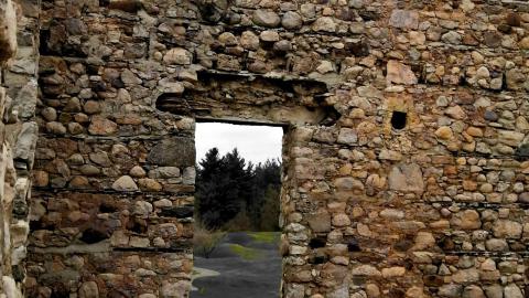 that's cheesy photo 4