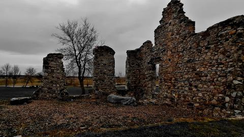 that's cheesy photo 3