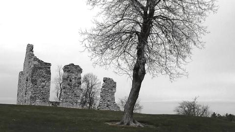 that's cheesy - IMG_20200407_174936.jpg