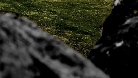 that's cheesy - 0002032.jpg