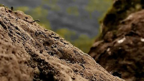 that's cheesy - 0002033.jpg