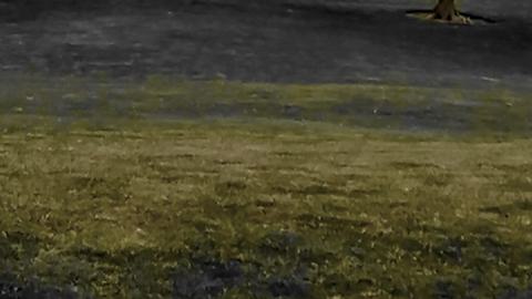 that's cheesy - 0002034.jpg