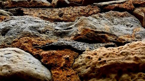 that's cheesy - 0002035.jpg