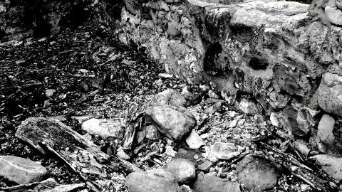 that's cheesy - 0002036.jpg