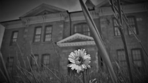 school's out - _MG_8193.JPG