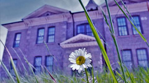 Photo from school's out