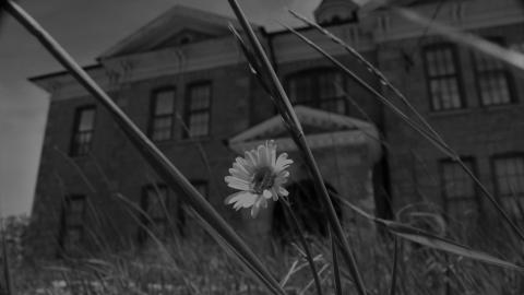 Photo from school's out