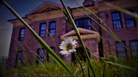 Photo from school's out