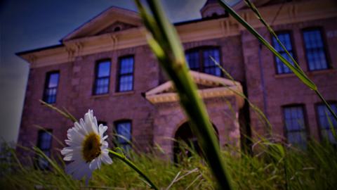 Photo from school's out