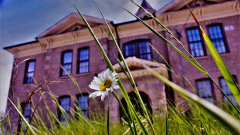 school's out - _MG_8188 (2).JPG