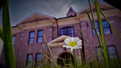 school's out - _MG_8187.JPG