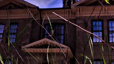 school's out - _MG_8180.JPG