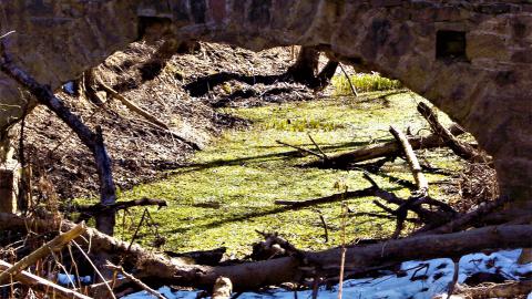 THE GERMANS!!!!! - 100_7569.JPG