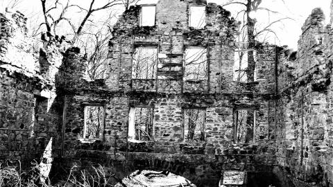 THE GERMANS!!!!! - 100_7583.JPG