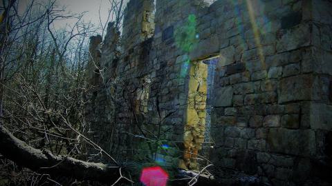 THE GERMANS!!!!! - 0002051.jpg