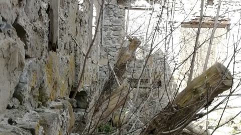 THE GERMANS!!!!! - 0002133.jpg