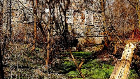 THE GERMANS!!!!! - 0002140.jpg