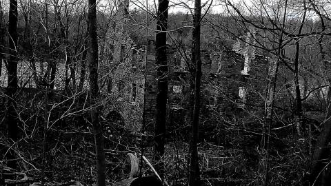 THE GERMANS!!!!! - 0002151.jpg