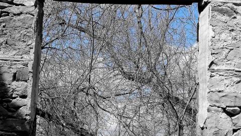 THE GERMANS!!!!! - 0002162.jpg