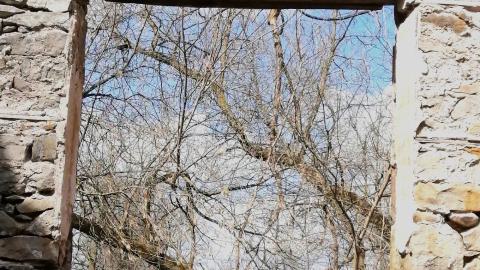 THE GERMANS!!!!! - 0002163.jpg