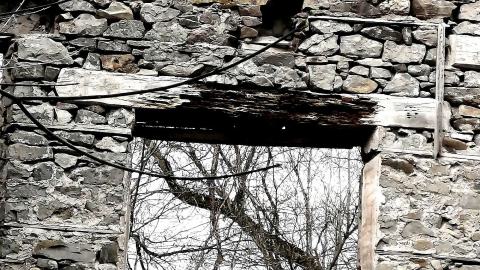 THE GERMANS!!!!! - 0002164.jpg