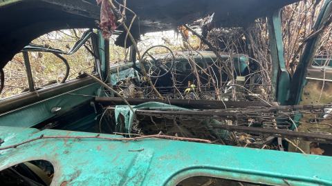 Abandoned car - IMG_3133.jpeg