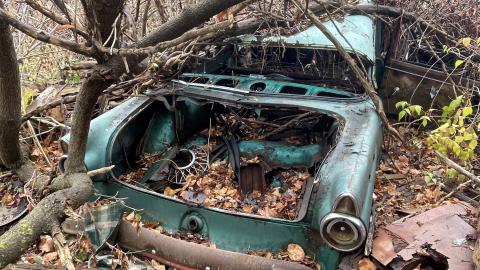 Abandoned car - IMG_3130.jpeg