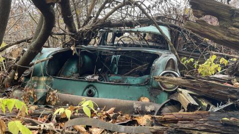 Abandoned car - IMG_3129.jpeg