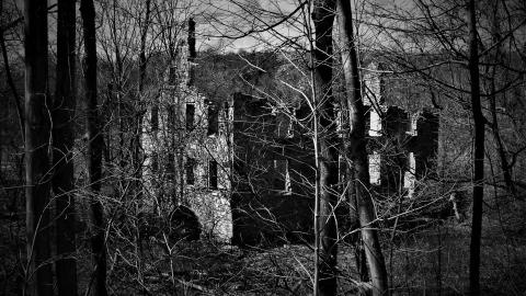 THE GERMANS!!!!! - 101_5351.JPG