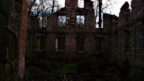 THE GERMANS!!!!! - 101_5353.JPG