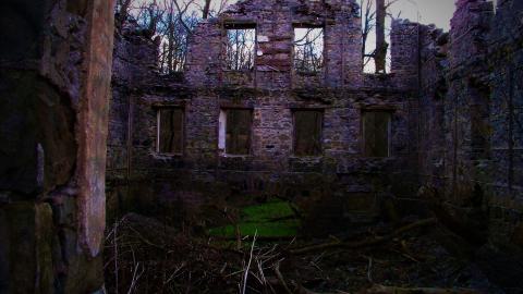 THE GERMANS!!!!! - 101_5354.JPG