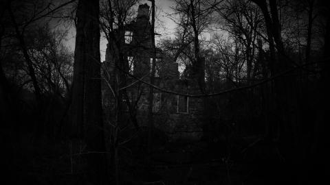 THE GERMANS!!!!! - 101_5362.JPG