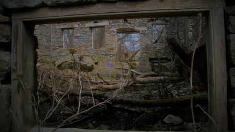 THE GERMANS!!!!! - 101_5368.JPG