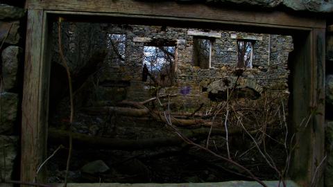 THE GERMANS!!!!! - 101_5369.JPG