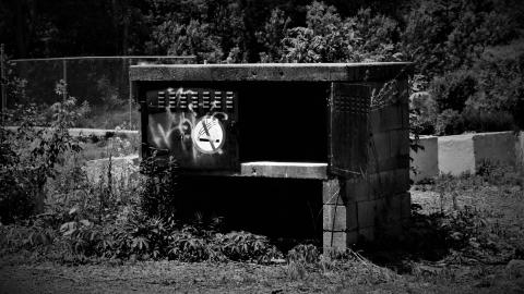 thread & needles photo 4