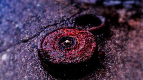 Photo from band practice is over